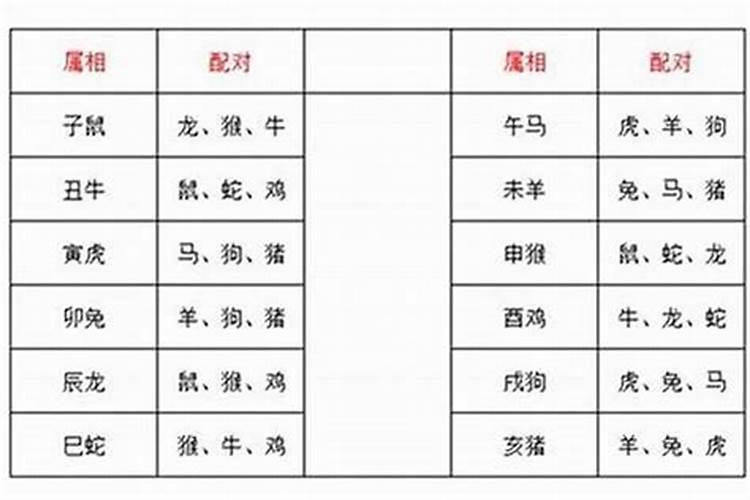 招财竹有哪些