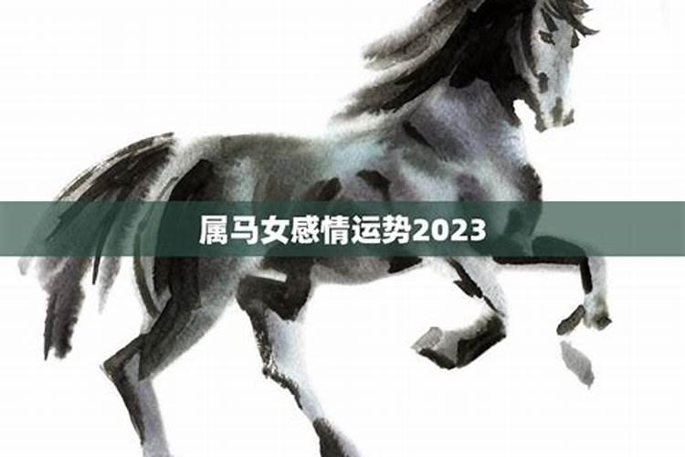 五月出生的马今年运势