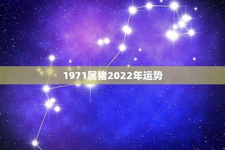 1971年的猪2025年运势如何？