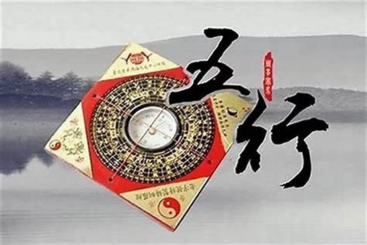 属猪的女人命运如何