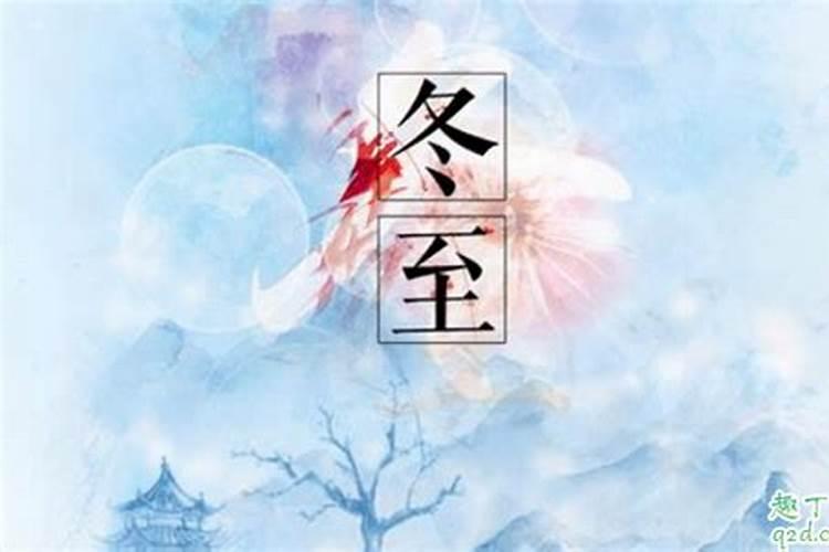 女人梦见老虎好不好女人梦见老虎是什么预兆