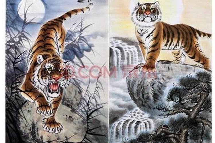 上山虎和下山虎出生时辰,2022年是上山虎还是下山虎