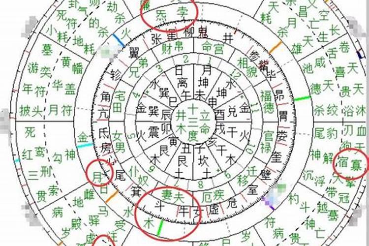 四柱八字华盖查法,免费四柱八字排盘详解
