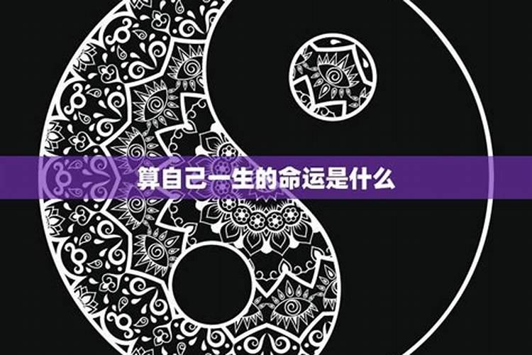 人生命运测算