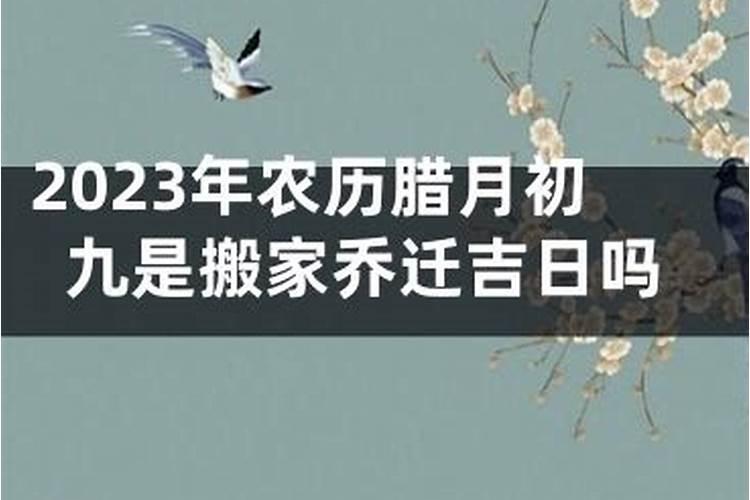 属牛处女座10月运势查询2024相关内容
