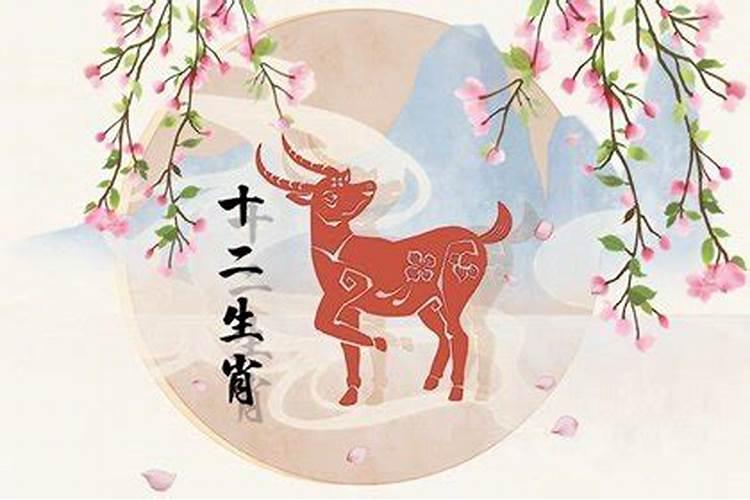 冬至取名女孩 洋气