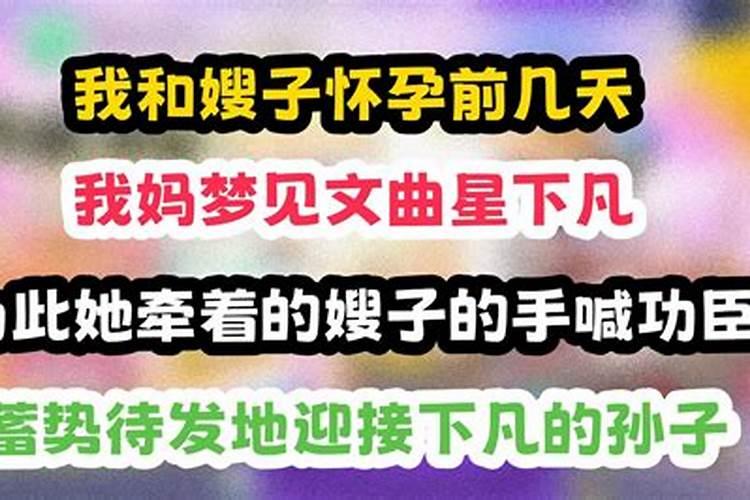 属羊人在2025年的运势如何？