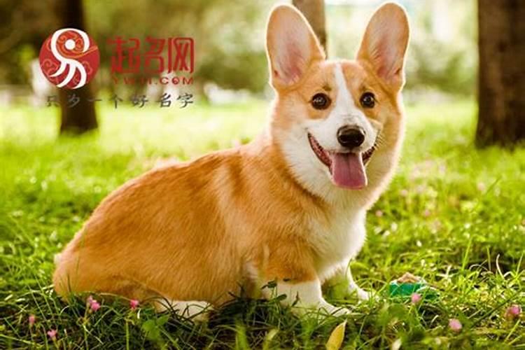 五行缺水戴什么配饰？