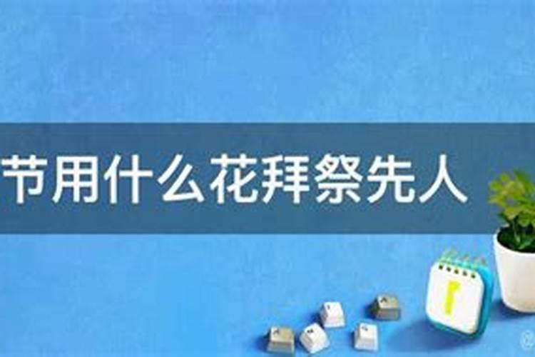 三藏免费算命网站