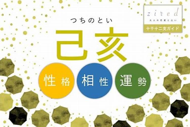 大师详解:属蛇2023年全年运势运程及每月运程？