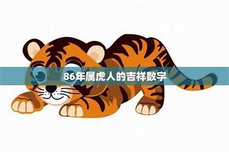 86年属虎什么命