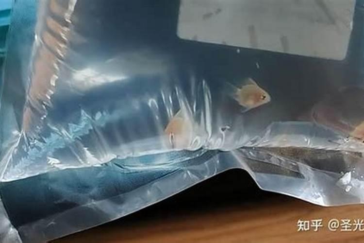 一部鬼片片头是许多人在河边放莲花灯？