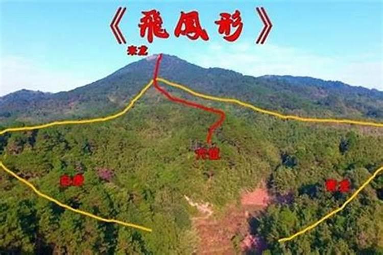 70年4月20日阳历子时生女命纯阳,怎样？