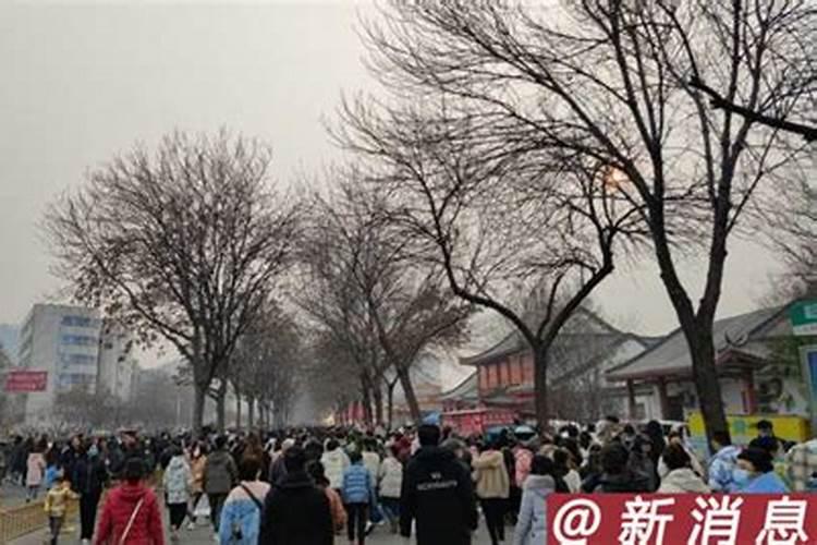 女属龙12月出生的人命运,属龙十二月二十三出生的命运