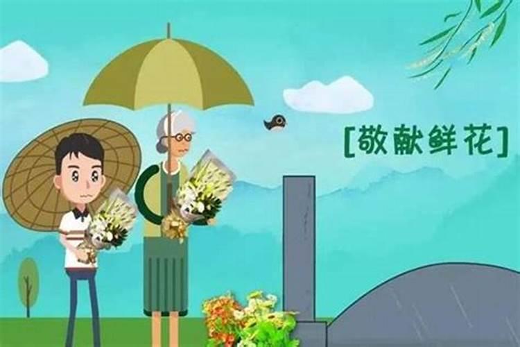 清明节的小知识
