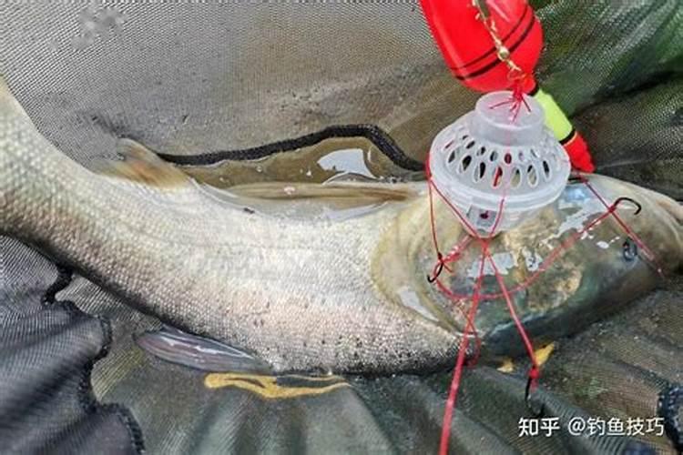 猴女不能嫁马男吗,有哪些原因？