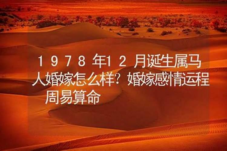 已婚妇女梦见母猫生小猫
