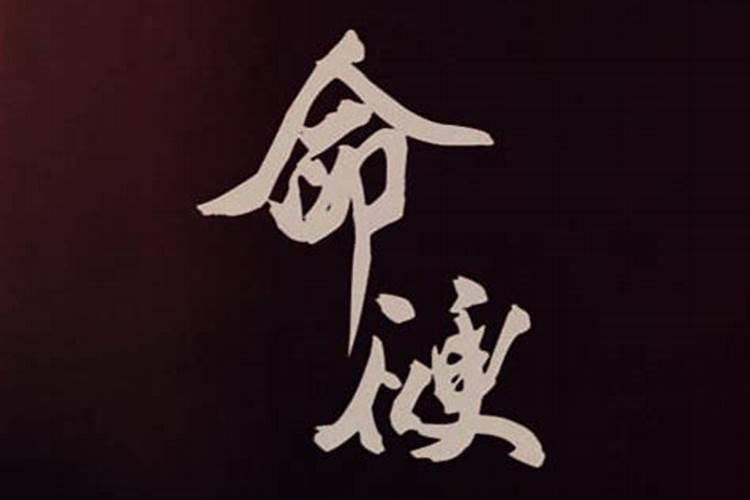 上海天气冷了适合去哪里玩,崇明冬季旅游路线攻略