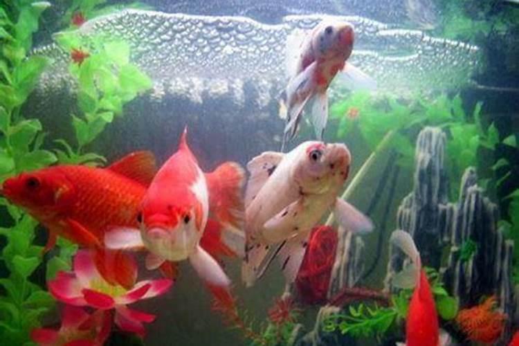 梦见老公的前妻是什么意思 不同的人梦见老公的前妻的梦境解析