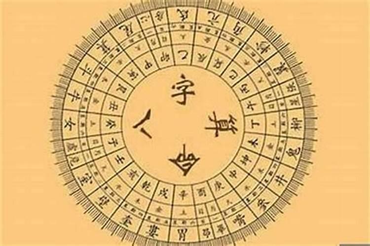 2025年1月28日属什么生肖