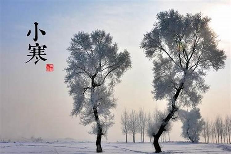 八字算寿命长短对照表