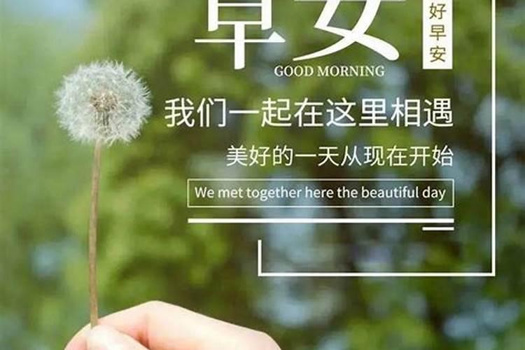 2002年属马2025年运势