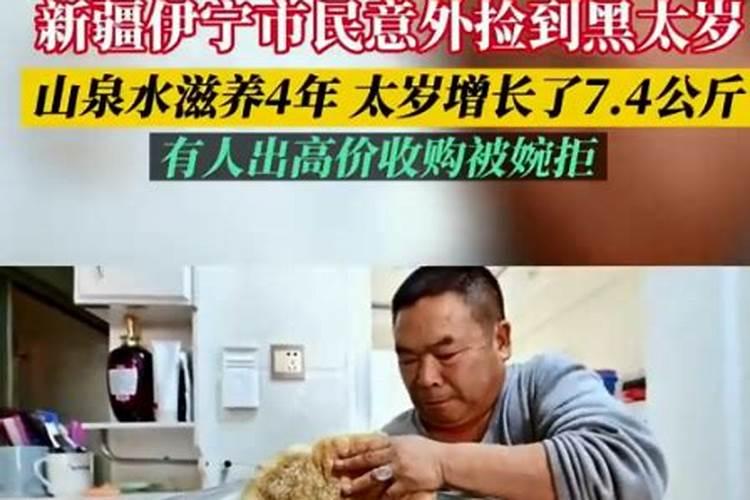 太岁边角料能养吗？