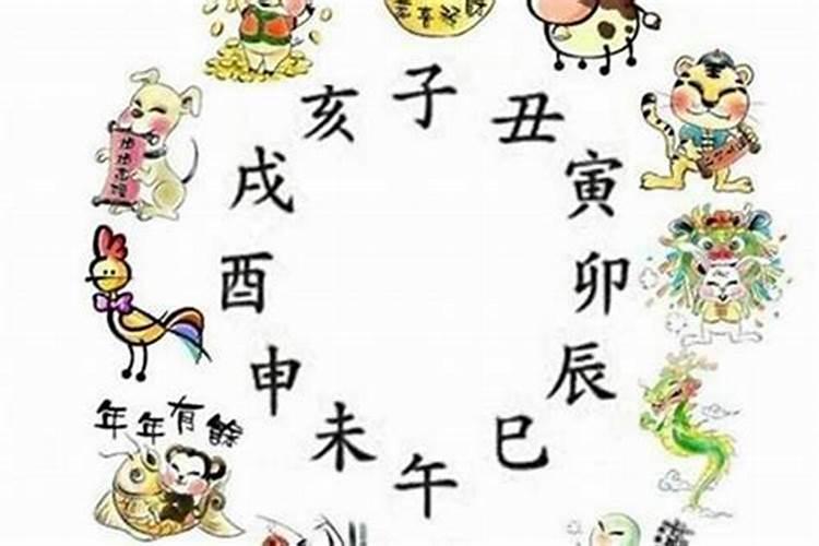 属兔人2025年综合运势