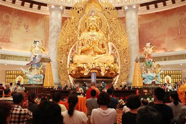 属鸡人2025全年运势 属鸡人2025年每月运势