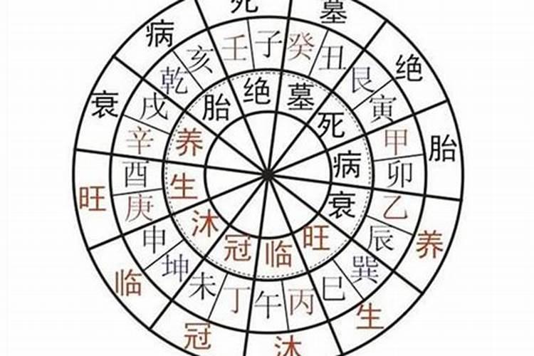 如何看懂八字排盘