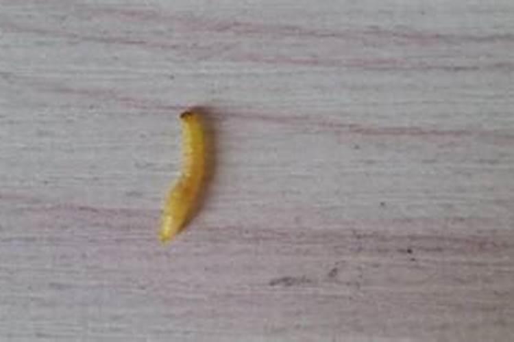 化解小人最厉害的方法