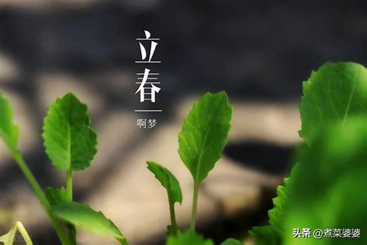 明天立春有什么讲究