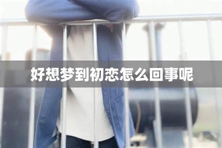 梦见女同学变性的预兆