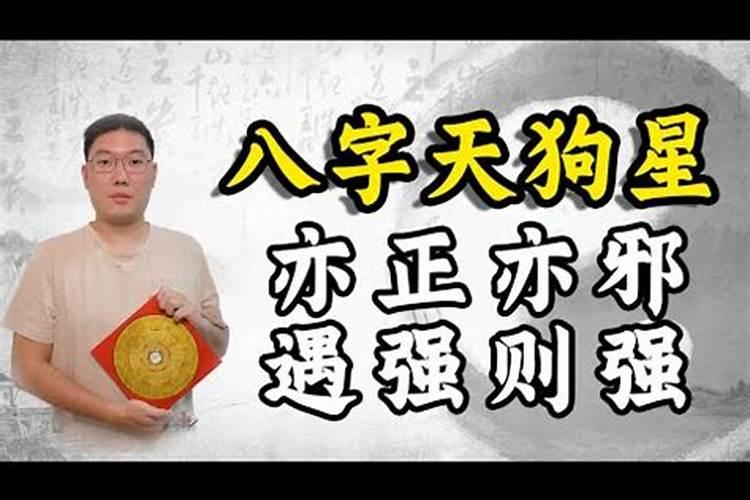 男命八字带天狗怎么化解,八字里面的天狗命是什么意思