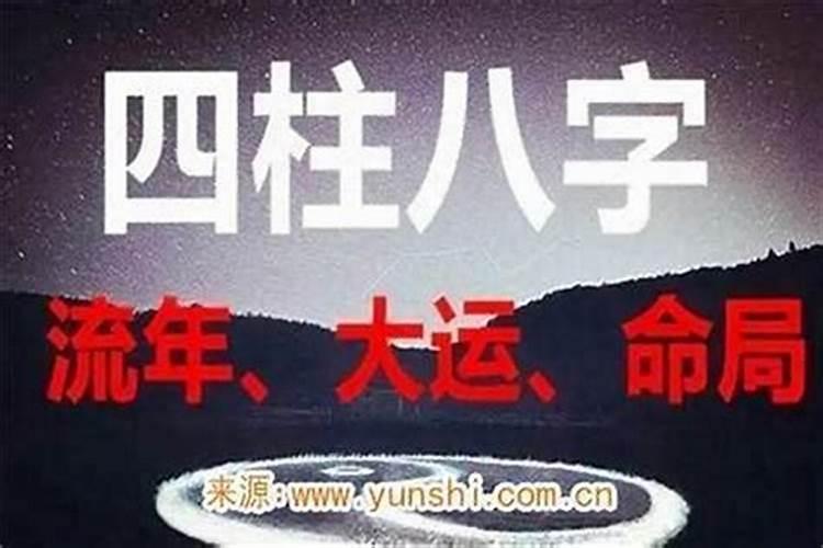 81年属鸡人在2025年的全年运势