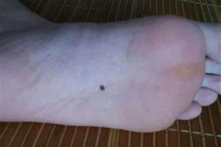 请问:冬至英语怎么说？