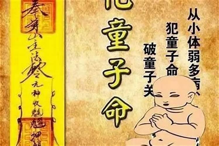 属猪人要怎样添加偏财运？ 提升本人的才能？