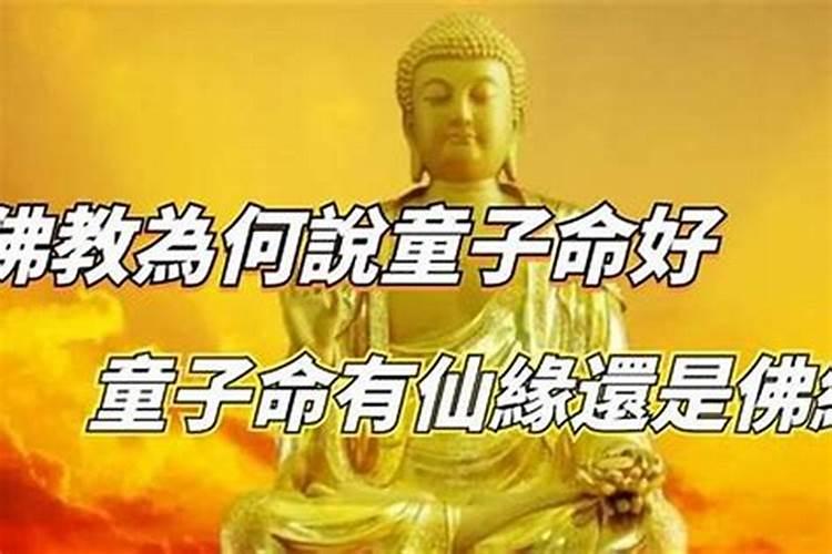 属猪戴什么最好最旺财运