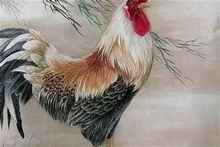 69年属鸡女有几段婚姻 生肖鸡女一生感情运势如何？