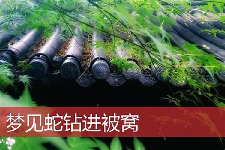 梦见女人钻进我的被窝的预兆