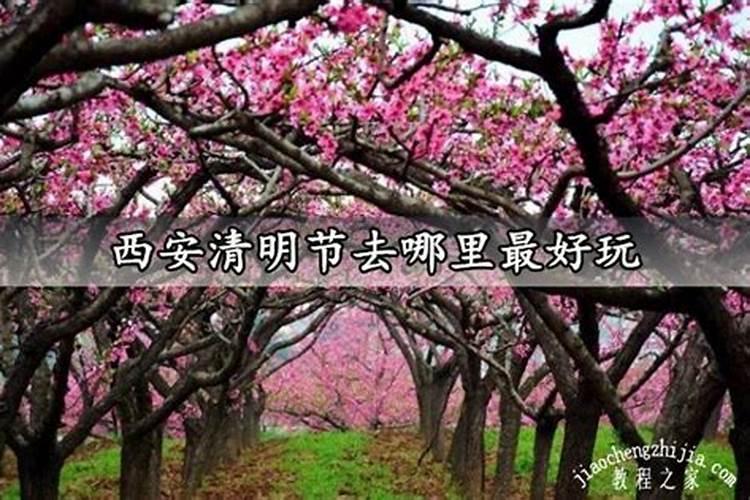 元宵节里挂彩灯 元宵节挂灯笼的寓意是什么