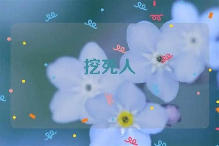 八字合婚没有时辰能算准么？