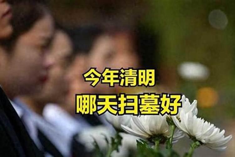 属鸡和属兔的适合做夫妻吗 兔和鸡相配婚姻如何