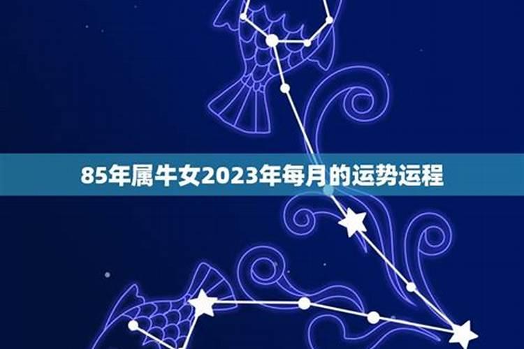 梦见家里有两条大蛇的预兆