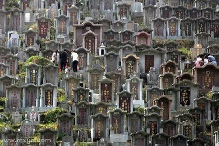 作文《家乡的习俗》 家乡所在地 湖北襄阳