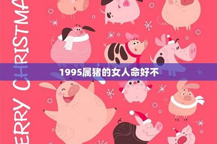 95年属猪的27岁大灾大难,1995年属猪女2022年有牢狱之灾么
