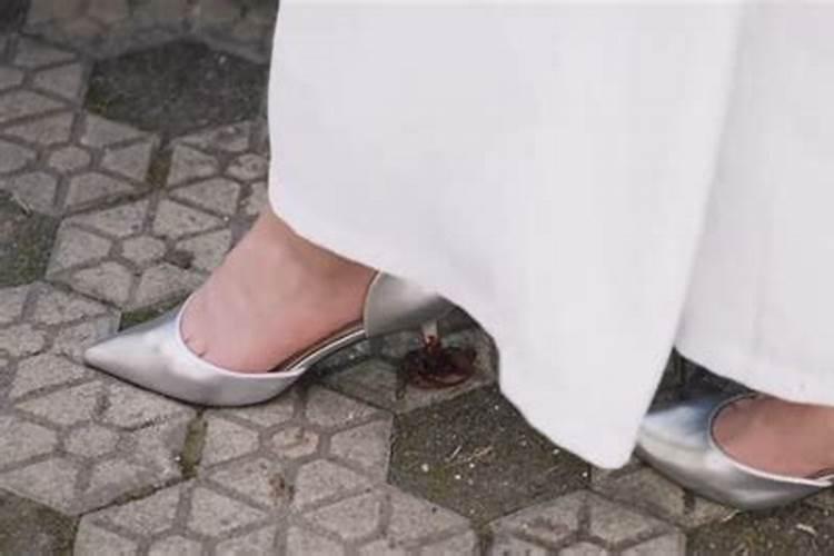 出门踩到狗屎预兆什么