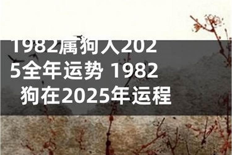 92年猴2025年运势及运程每月运程