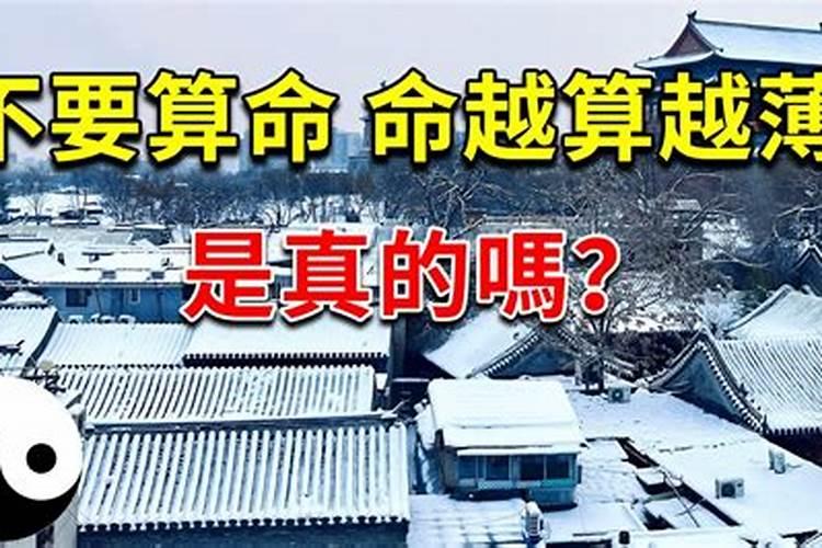 73年属牛2025全年运势如何