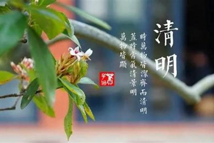 属虎的男孩适合起什么名字